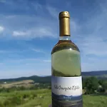 Káli Vineyard Estate *