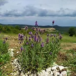 Villa Káli Vineyard Estate