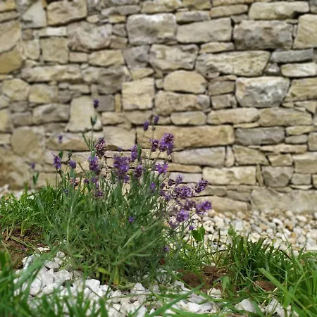 Kali Vineyard Estate