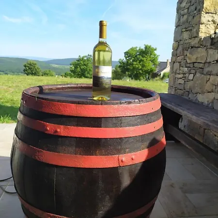 Kali Vineyard Estate Villa Koveskal