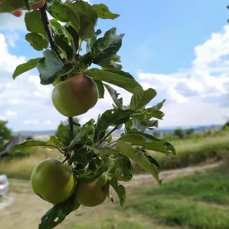 Kali Vineyard Estate ヴィラ Köveskál