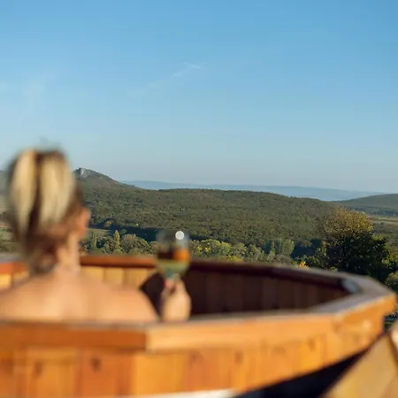 Kali Vineyard Estate Villa Koveskal