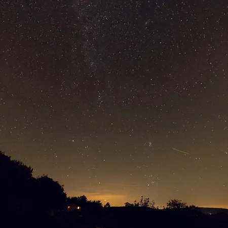 Kali Vineyard Estate *