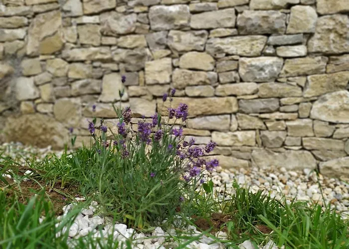 Kali Vineyard Estate