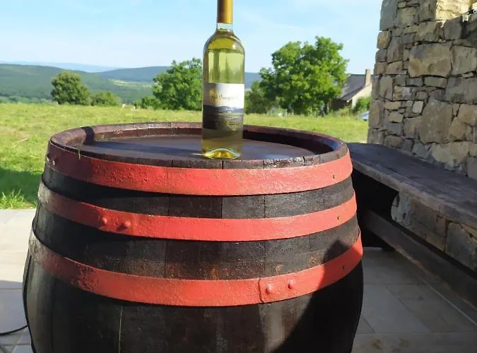 Kali Vineyard Estate Villa Koveskal