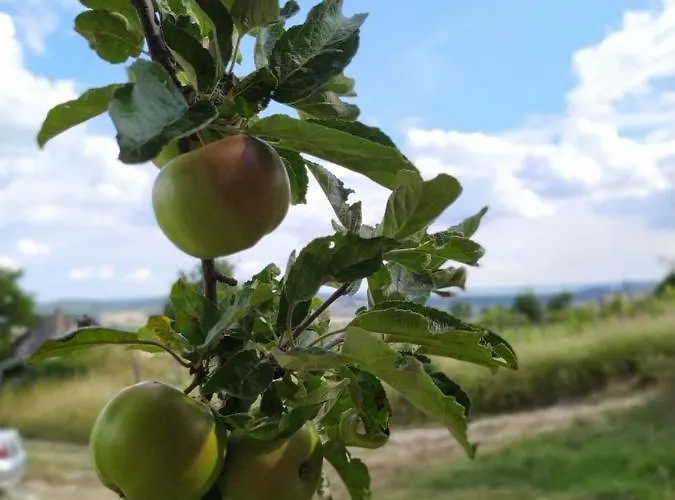 Kali Vineyard Estate וילה Köveskál