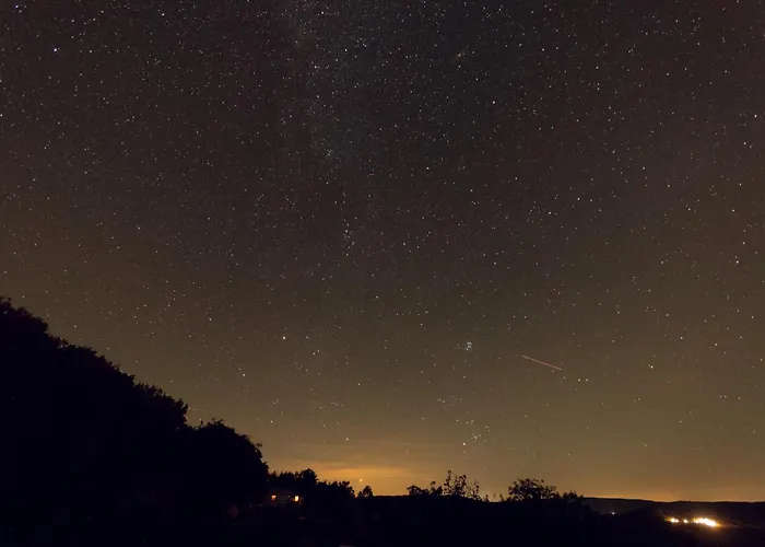 Kali Vineyard Estate *